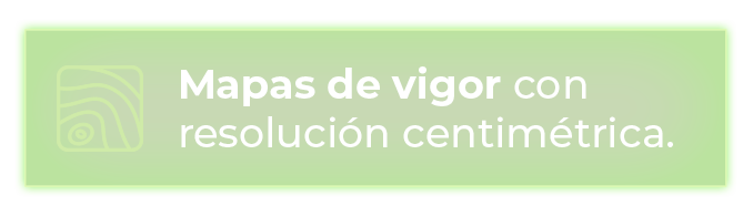 Mapas de vigor con resolución centimétrica