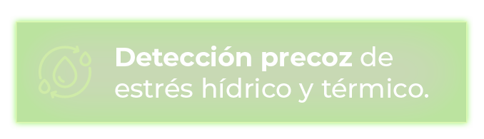 Detección precoz de estrés hídrico y térmico