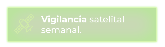 Vigilancia satelital semanal